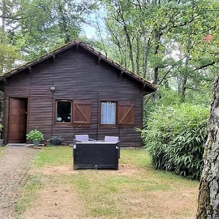 Weir Cottage Balledent 외부 사진
