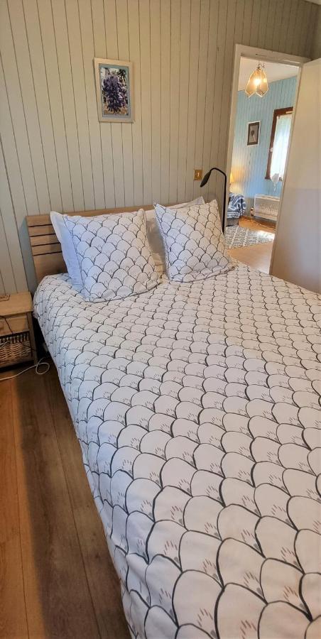 Weir Cottage Balledent 외부 사진